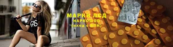СК Балахна