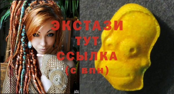 дмт Богданович