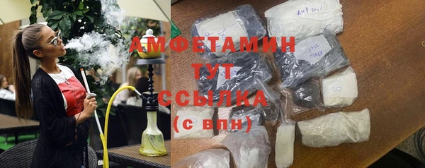 дмт Богданович