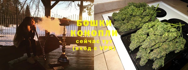 дмт Богданович