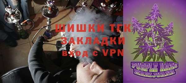 дмт Богданович