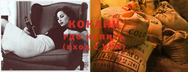 дмт Богданович